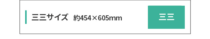 三三サイズ