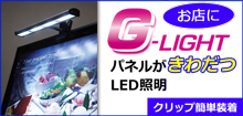 G-Lightはこちら