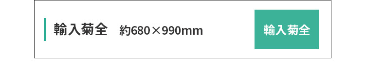 輸入菊全サイズ