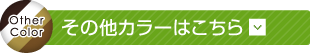 その他カラーはこちら